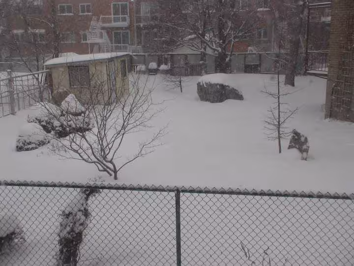 Le jardin de ma voisine