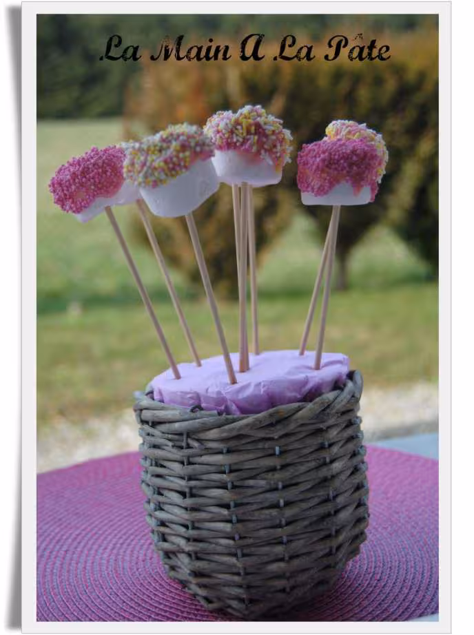 Bouquet de sucettes