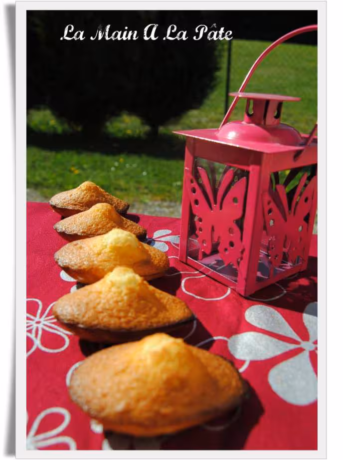 Madeleines au lemon curd