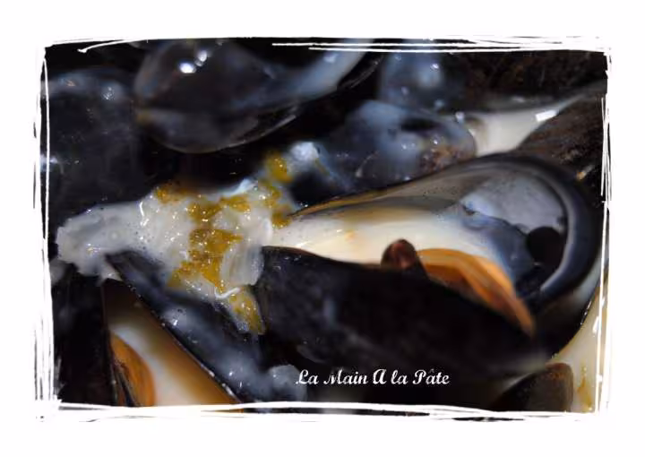 Moules sauce poulette