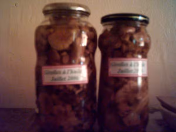 Bocaux de girolles