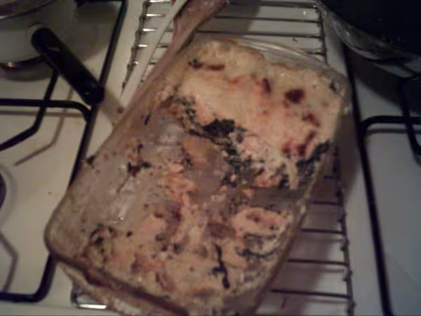 Succes de mes lasagnes saumon epinard