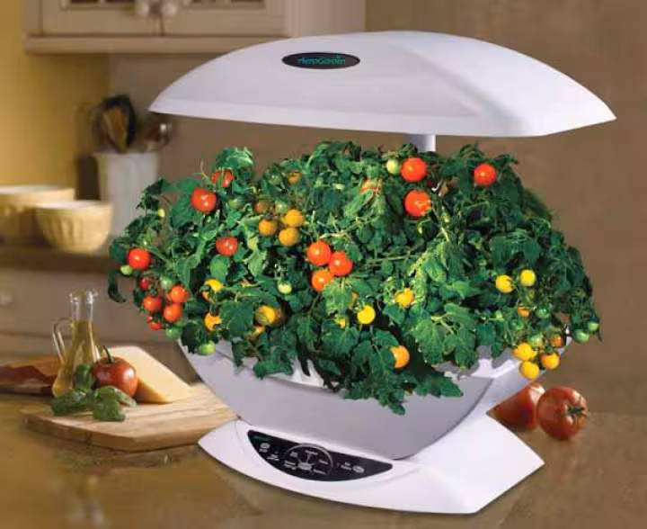 Aerogarden