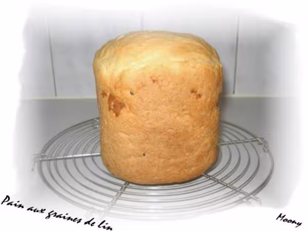 Pain aux graines de lin