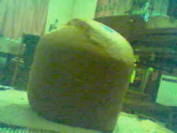 Bricohe du boulanger polange