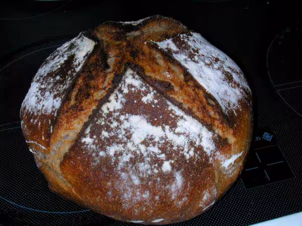 100 levain liq t55 seigle epautre