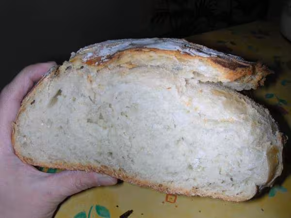 Classique tt levain 500g
