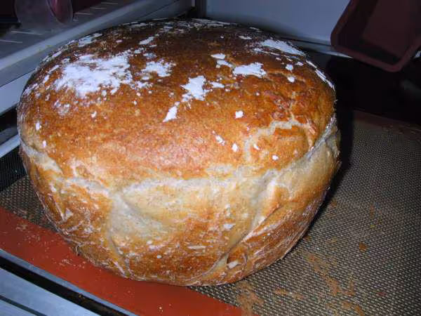 Pain epautre levain
