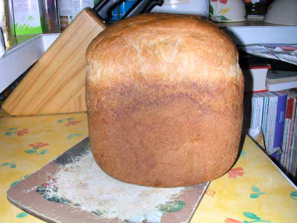 Pain mais brioche
