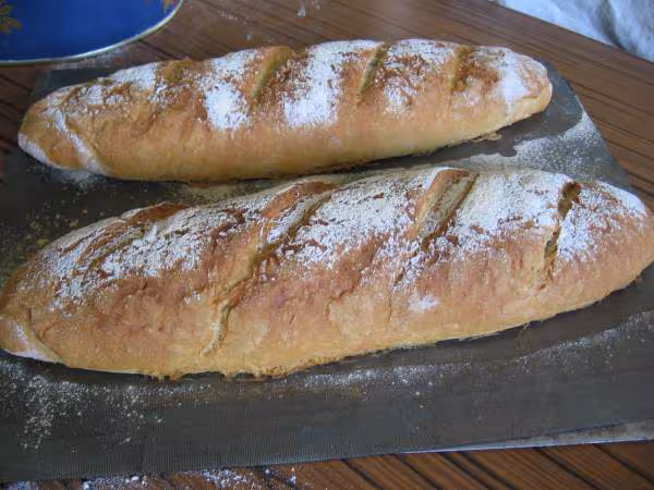 Baguette sans map de rosee