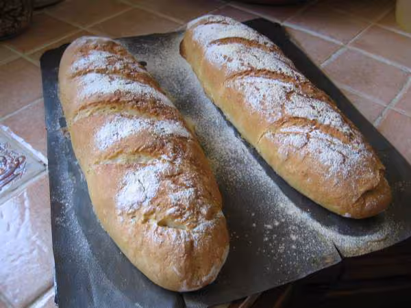 Baguette sans map de rosee