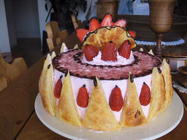 Gateau d anniv cococitron 4