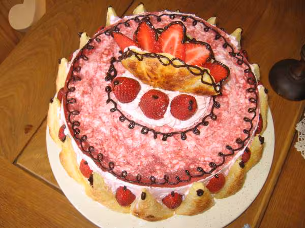 Gateau d anniversaire cococitron2