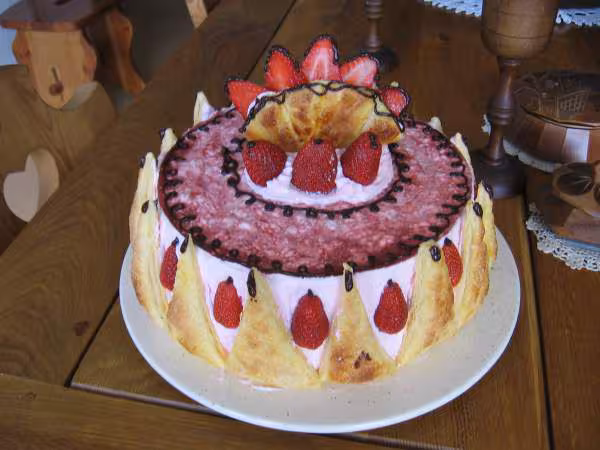 Gateu d anniv cococitron 3