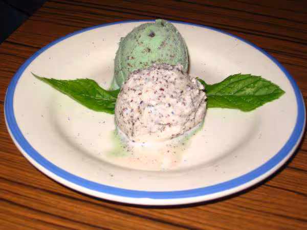Glace menthe chocolat et stracciatella de vanille