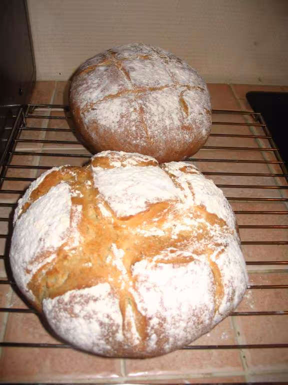 Pain de campagne recette distel
