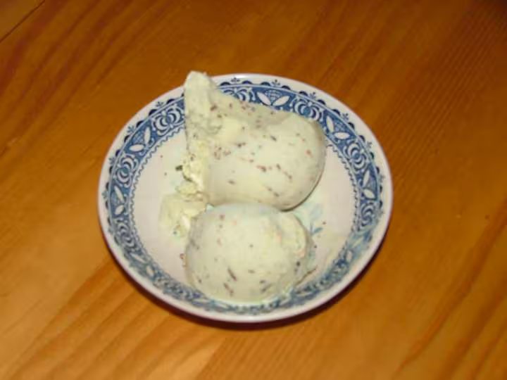 Glace a la menthe fraiche du jardin et copeaux de chocolat