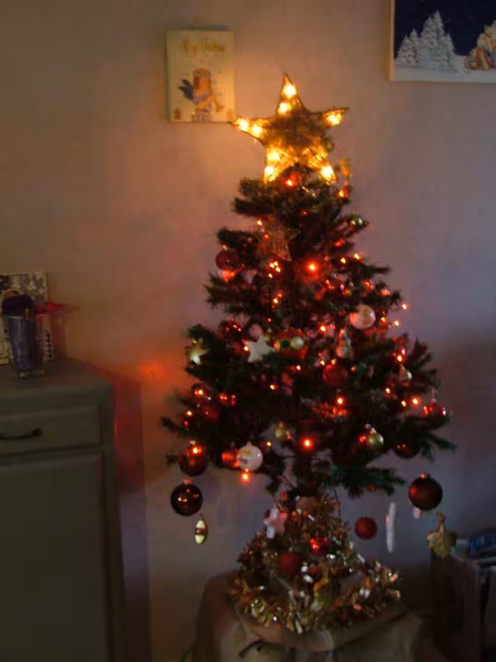 Sapin no l 2012