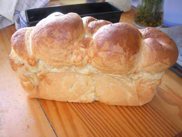 Brioche