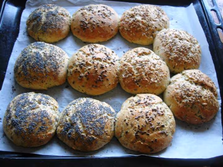 Hamburgers 100 maison vegetariens