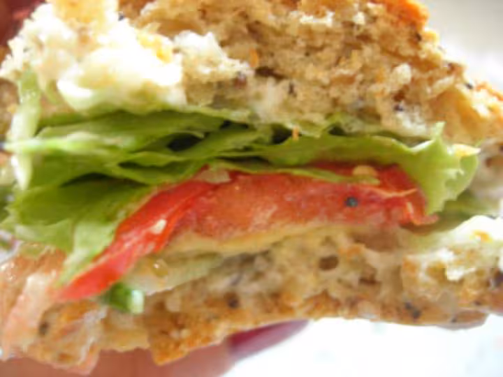 Hamburgers 100 maison vegetariens