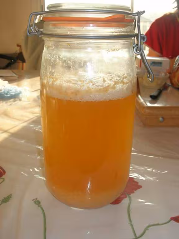 Kefir