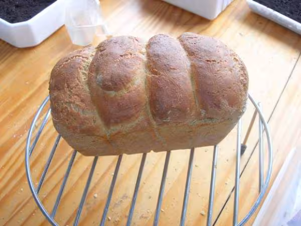 Pain au mais blanc