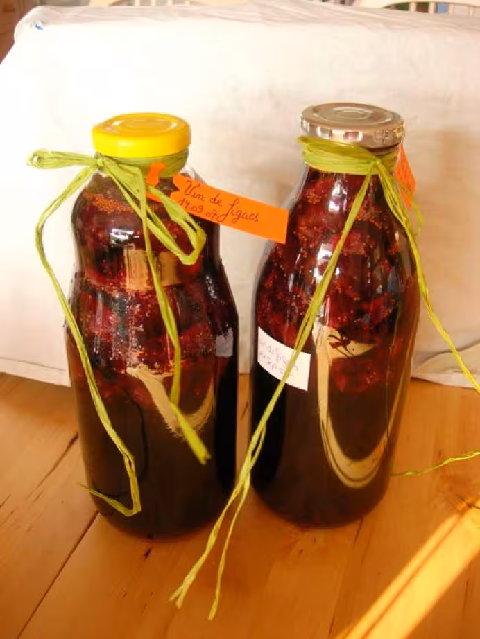 Vin de figues