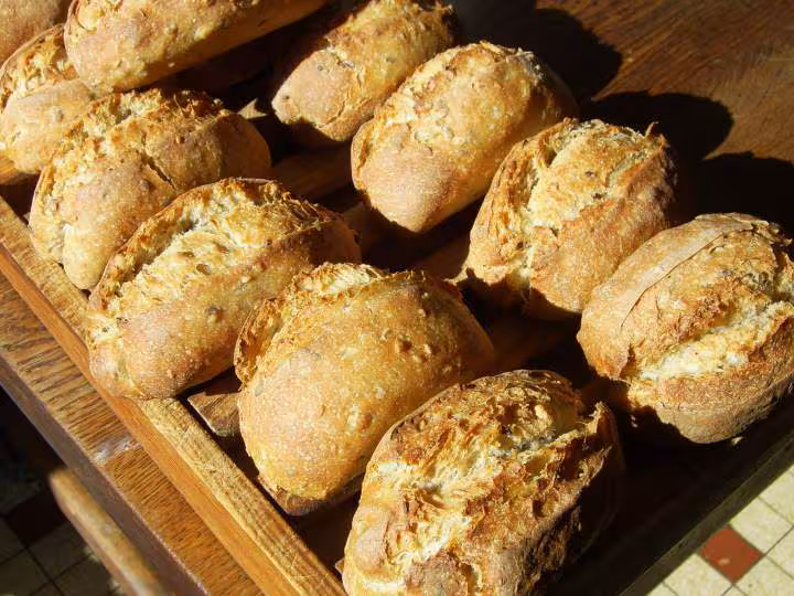 Petits pains aux cereales