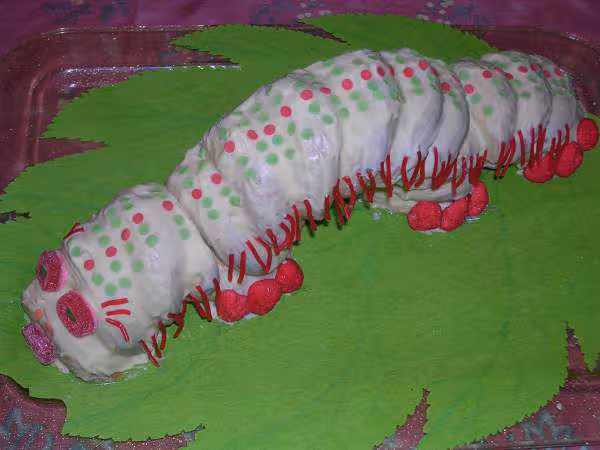 Chenille kicuisine