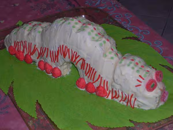 Chenille kicuisne