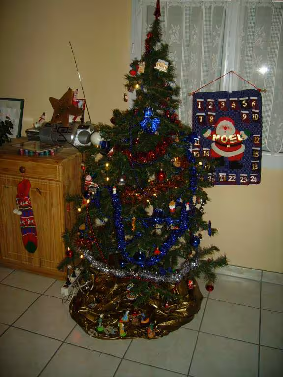 Sapin2005