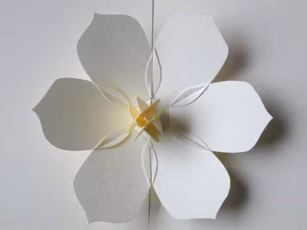 Fleur