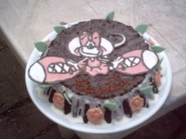Gateau camille
