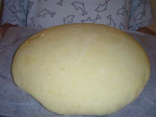 Pate lever