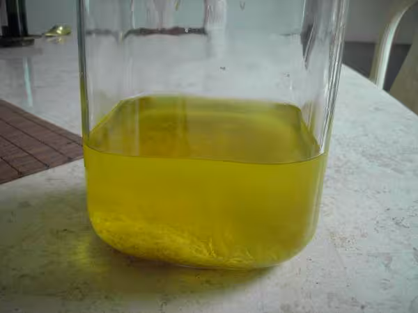 Limoncello en maceration