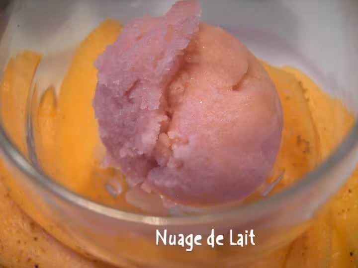 Sorbet au porto