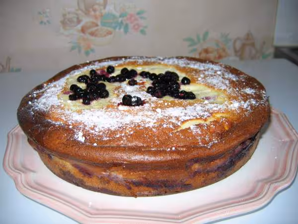 Delice acidule aux myrtilles