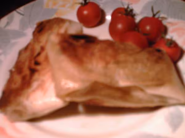 Mes briks au boeuf 2