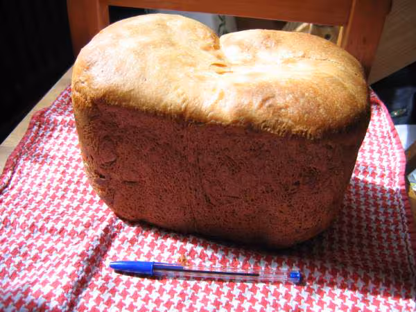 Brioche