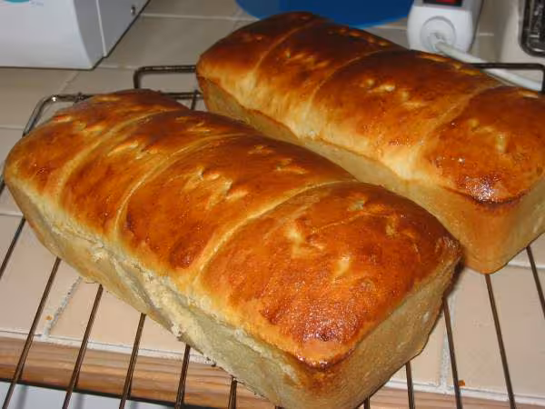 Brioches kinou au four