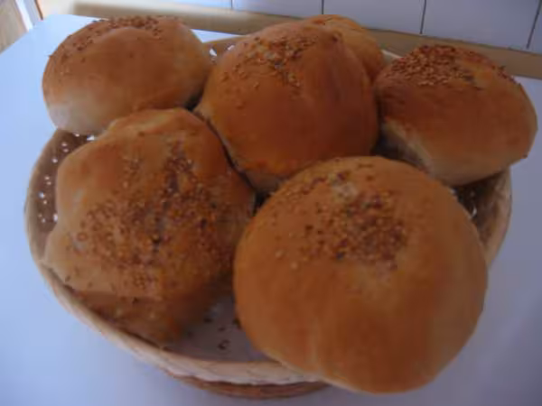 Hamburgers 050613