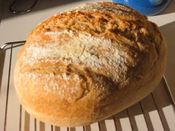 Pain a l epeautre et levain liquide