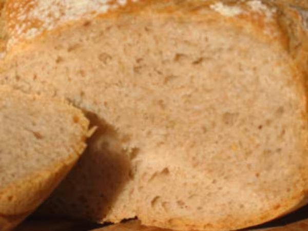 Pain a l epeautre et levain liquide