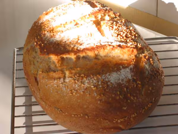 Pain a l epeautre sesame levain liquide cocotte