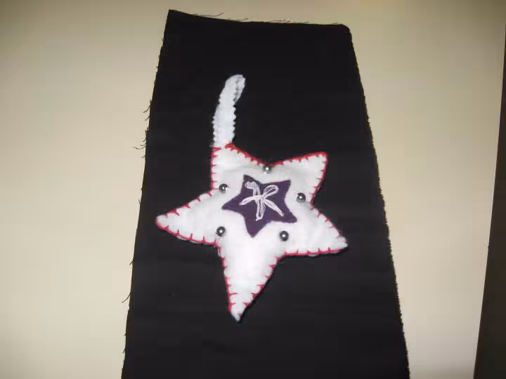 Etoile de noel