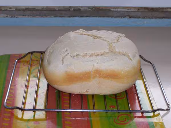 Pain blanc sur poolish