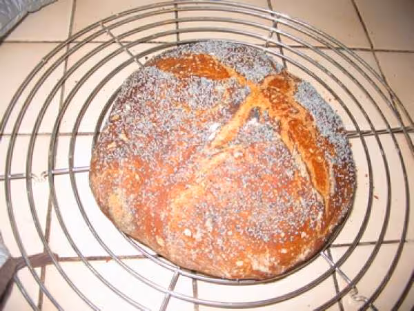 Pain de campagne au levain