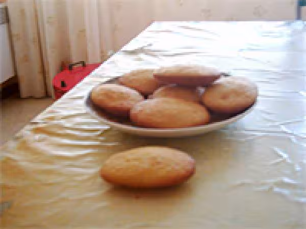 Madeleine sans bosse