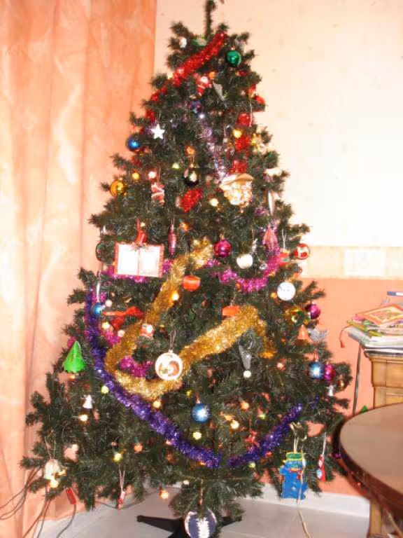 Mon sapin de noel 2005